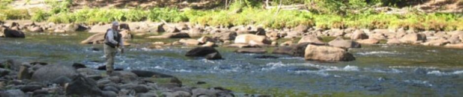 The Deerfield River Angler